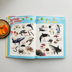 English Talking Sound Book for Kids Ages 1–6 - product image 5
