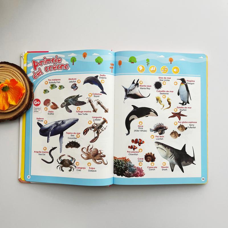 English Talking Sound Book for Kids Ages 1–6 - product image 5